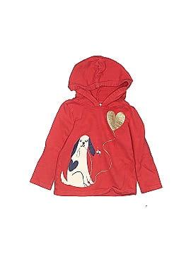 Carter's Pullover Hoodie (view 1)