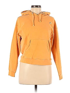 Champion Pullover Hoodie (view 1)