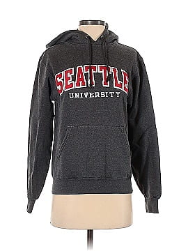 Champion Pullover Hoodie (view 1)
