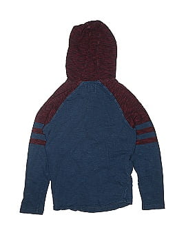 Vans Pullover Hoodie (view 2)