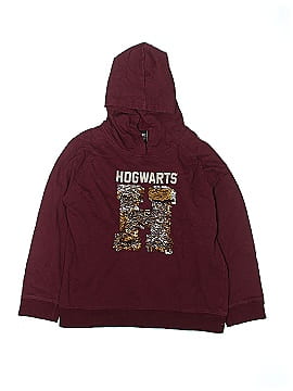 Harry Potter Pullover Hoodie (view 1)