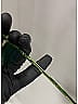 Bottega Veneta Green Sunglasses One size - photo 6