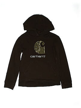 Carhartt Pullover Hoodie (view 1)