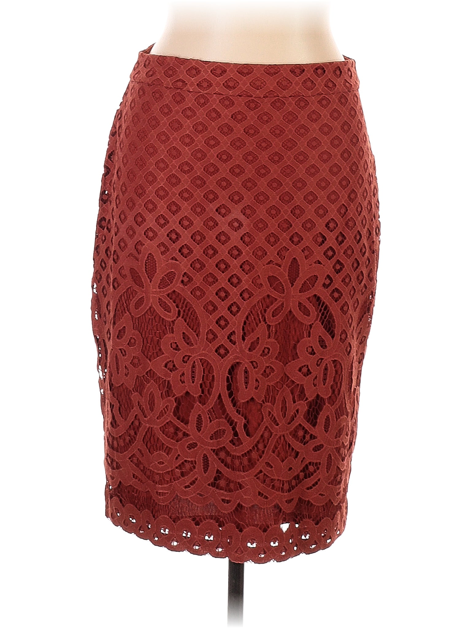 Downeast shop lace skirt