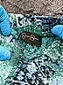 Jessica Simpson 100% Polyester Paisley Hearts Graphic Tropical Green Shorts Size XXS - photo 3