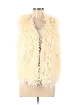 American Eagle Outfitters Faux Fur Jacket (view 1)