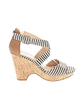 Attention Wedges (view 1)
