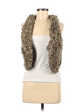 American Eagle Outfitters Faux Fur Vest (view 1)