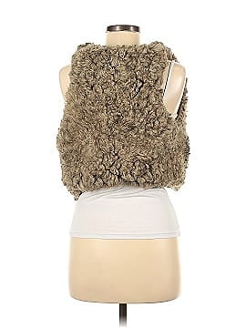 American Eagle Outfitters Faux Fur Vest (view 2)