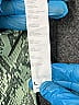 Fabletics Print Green Leggings Size 7 - 8 - photo 4