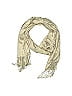 Collection 18 100% Viscose Ivory Scarf One Size - photo 1