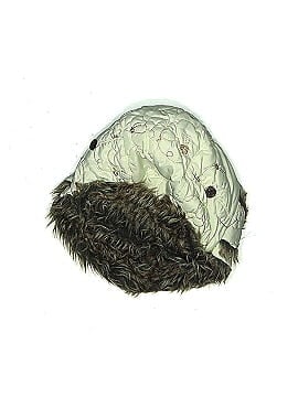 Pistil Winter Hat (view 1)