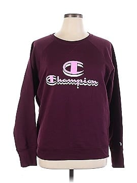 Champion Sweatshirt (view 1)