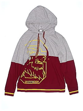 Harry Potter Pullover Hoodie (view 1)