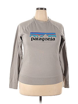 Patagonia Sweatshirt (view 1)