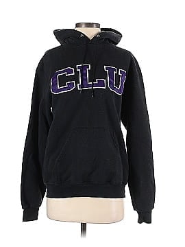 Champion Pullover Hoodie (view 1)