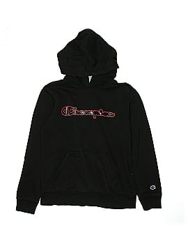 Champion Pullover Sweater (view 1)