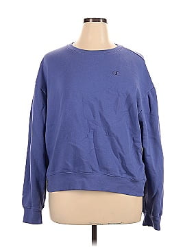 Champion Sweatshirt (view 1)