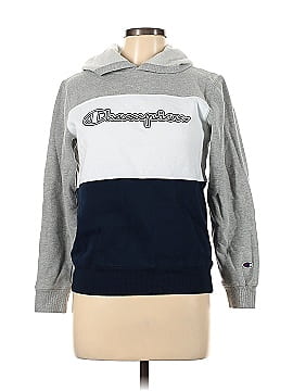 Champion Pullover Hoodie (view 1)