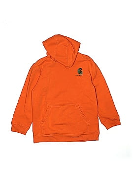 Carhartt Pullover Hoodie (view 1)