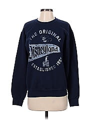 Disney Parks Sweatshirt