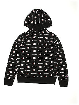 Champion Pullover Hoodie (view 1)