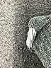 Current/Elliott Gray Sleeveless T-Shirt Size 3 - photo 7