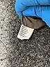 Tocca Solid Gray Casual Dress Size 4 - photo 7