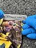 Honeyme Yellow 3/4 Sleeve Blouse Size XL - photo 6