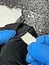 C9 By Champion Black Active Pants Size XS - photo 3