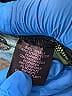 Hale Bob 100% Silk Paisley Teal 3/4 Sleeve Silk Top Size S - photo 4