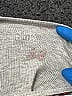 Disney Baby Floral Ivory Gray Short Sleeve Onesie Size 0-3 mo - photo 3
