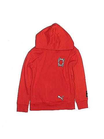 Puma Pullover Hoodie (view 1)