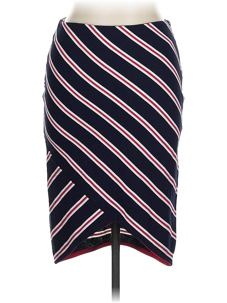 Pre-owned Potter's Pot Casual Skirt In Blue