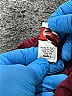 Chasse 100% Nylon Burgundy Active Pants Size S (big kids) - photo 4