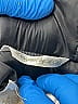 Le Chic Stars Black Jacket Size 116 cm - photo 3