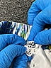 Jack by BB Dakota 100% Polyester Blue Casual Pants Size S - photo 3