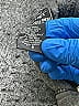 Athletex Gray Zip Up Hoodie Size S - photo 7
