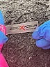 ZeroXposur Pink Active Skirt Size 6X - photo 3