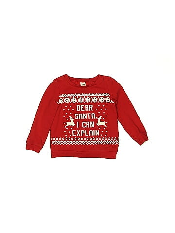 Carter's Pullover Sweater (view 1)