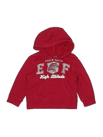 The Children's Place Pullover Hoodie (view 1)