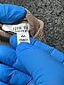 12th Tribe Brown Cocktail Dress Size M - photo 5