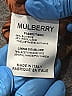 Mulberry Brown Burgundy Jacket Size 2 - photo 13