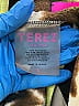 Terez 100% Polyester Print Gold Jacket Size S - photo 7