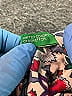 United Colors Of Benetton Floral Teal Long Sleeve Blouse Size M - photo 6