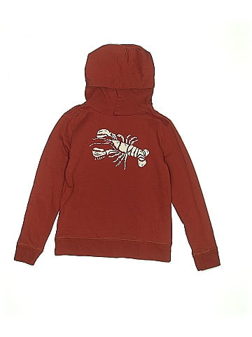 Crewcuts Outlet Pullover Hoodie (view 1)