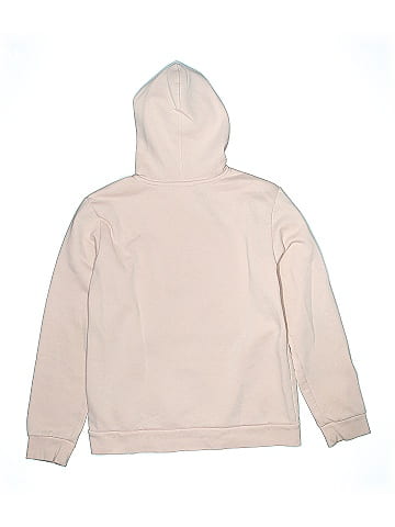 Champion Pullover Hoodie (view 2)