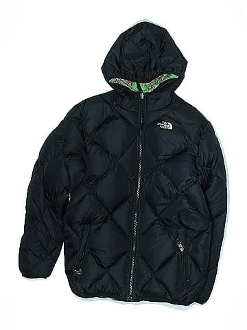 The North Face Snow Jacket (view 1)
