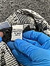 Chico's Design 100% Cotton Print Gray Jacket Size L - photo 7