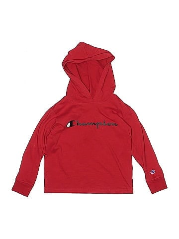 Champion Pullover Hoodie (view 1)
